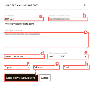 Specify information on the recipient, add a personalized message, select if you want to proceed with or without a security code and define a validity period in the SecureSend window.