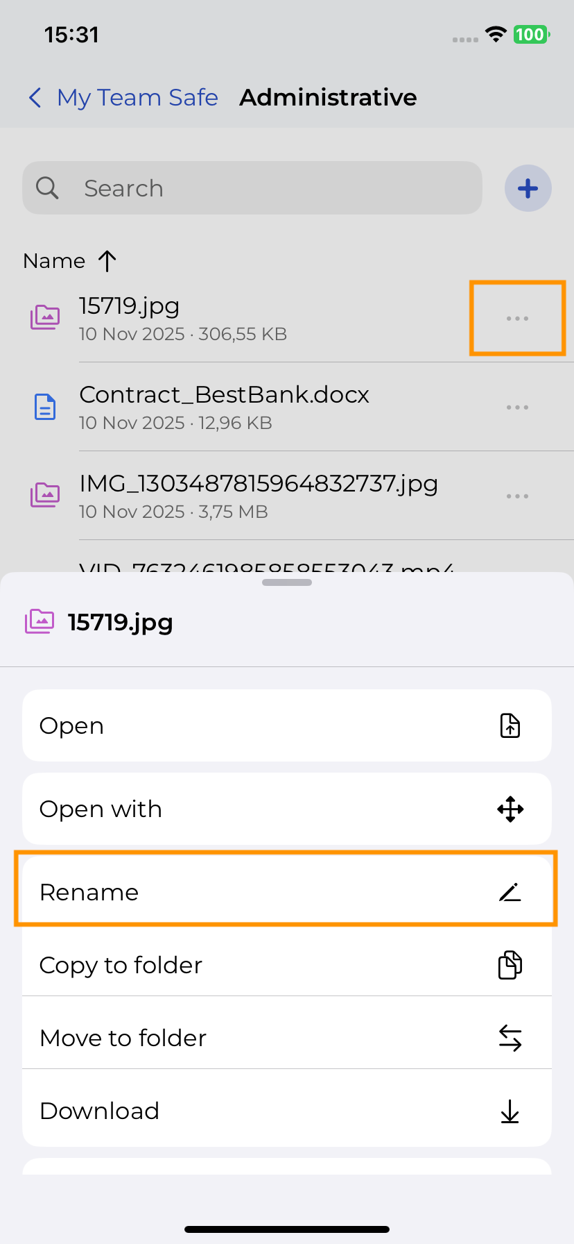 Mobile Rename File SecureSafe File - Mobile: Rename an item