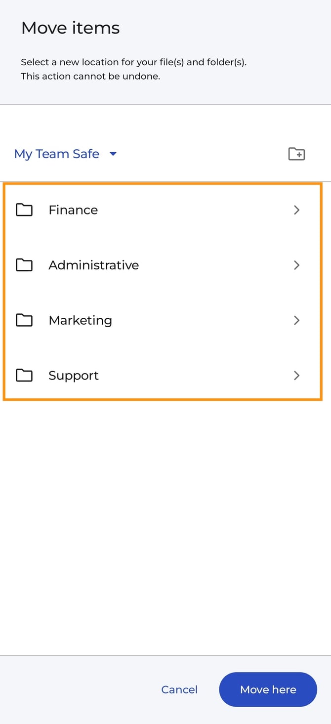 Screenshot_20251110_154559_SecureSafe copy