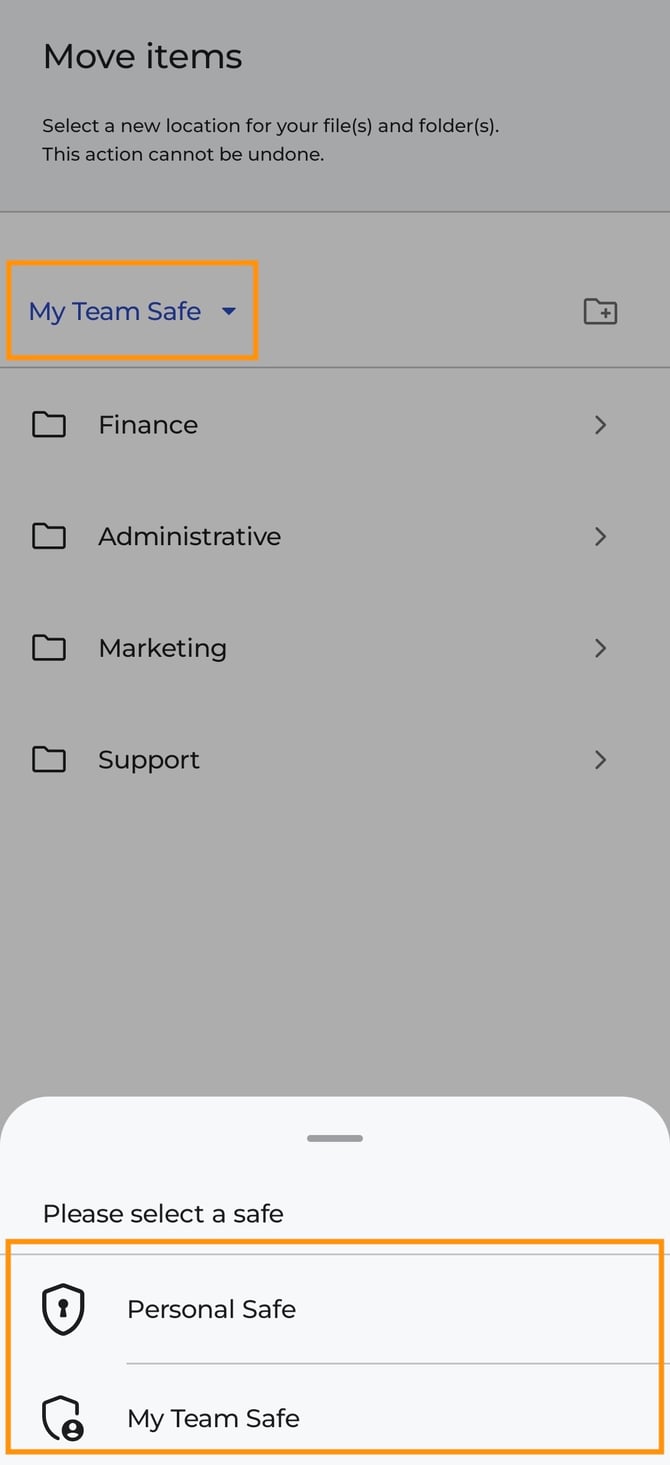 Screenshot_20251110_155945_SecureSafe
