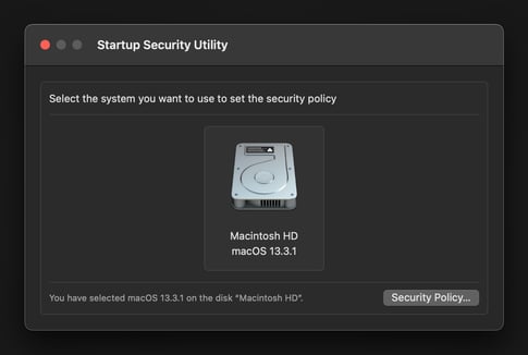 Select the system you want to adjust the security policies for and click on "Security Utility".